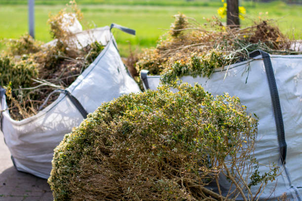 Best Shed Removal  in Kalida, OH